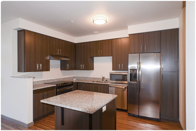 renovated kitchen with stainless steel appliances and wood cabinetry
